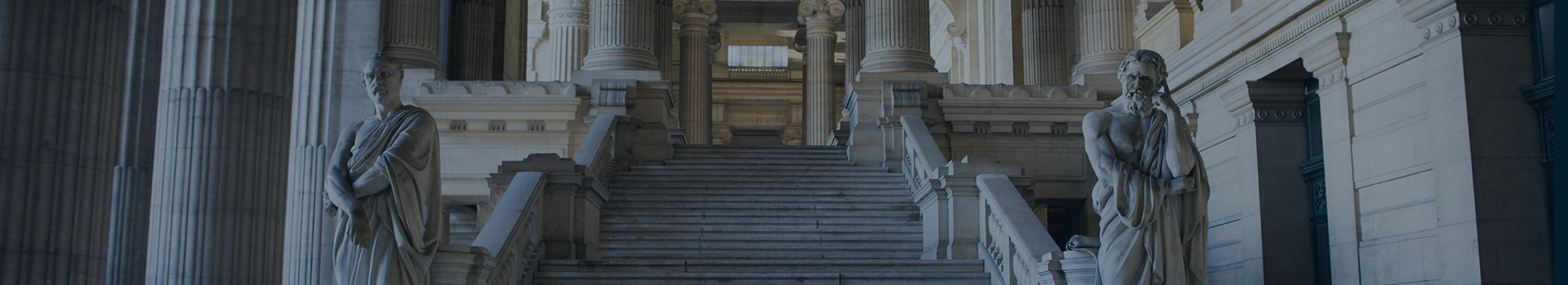 About Mark Allison & Associates 